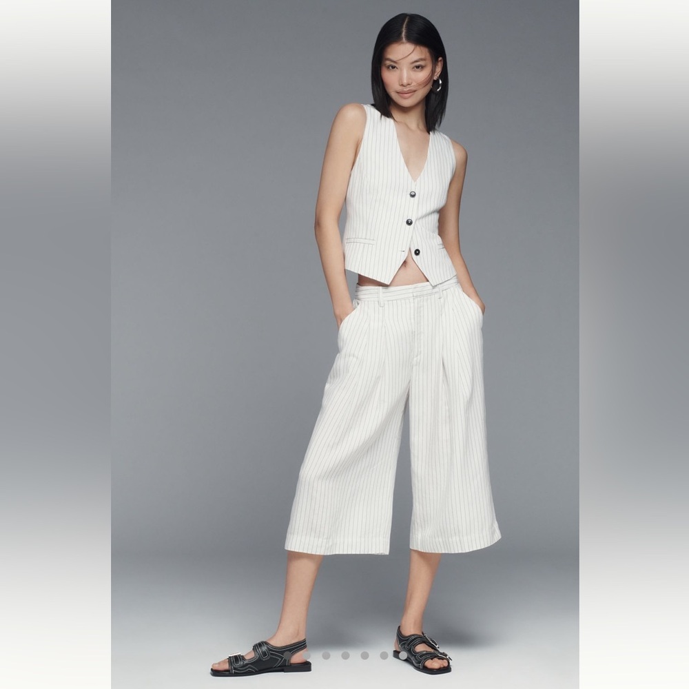 Anthropologie Pleated wide leg culotes Trousers s M